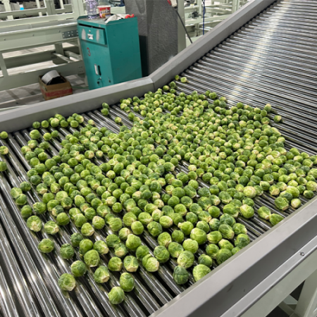 Brussels sprouts elevator equipment Brussels sprouts elevator equipment