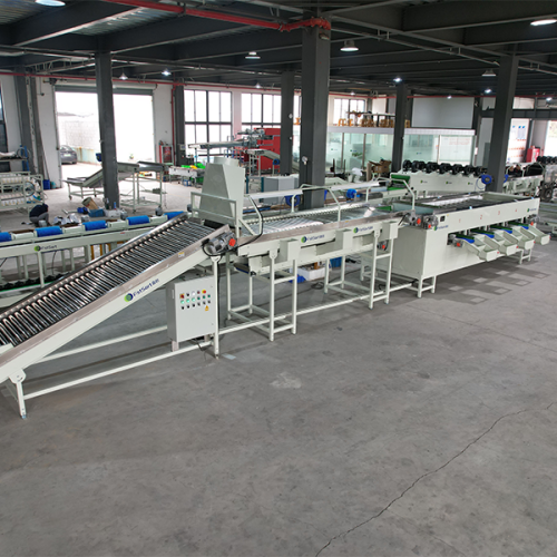 onion grading machine onion grading machine